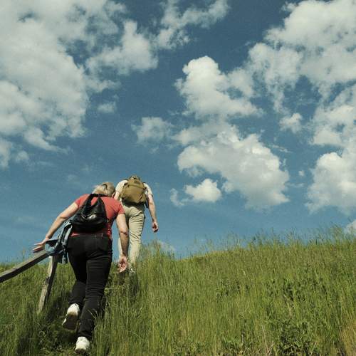 Photo #13754516