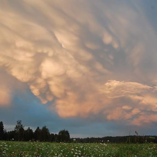 Photo #13754518