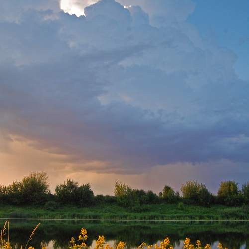 Photo #13754521
