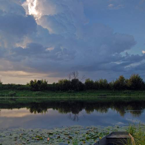 Photo #13754523