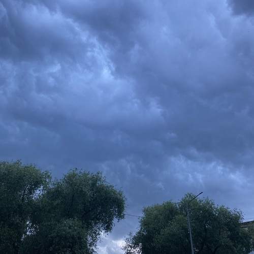 Photo #13754531