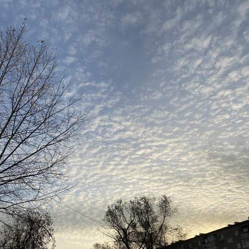 Photo #13754532