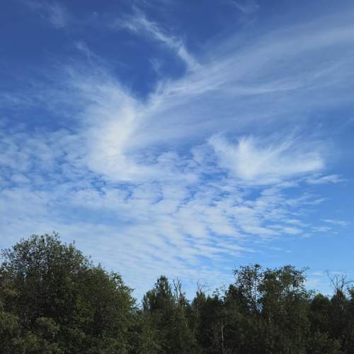 Photo #13754551