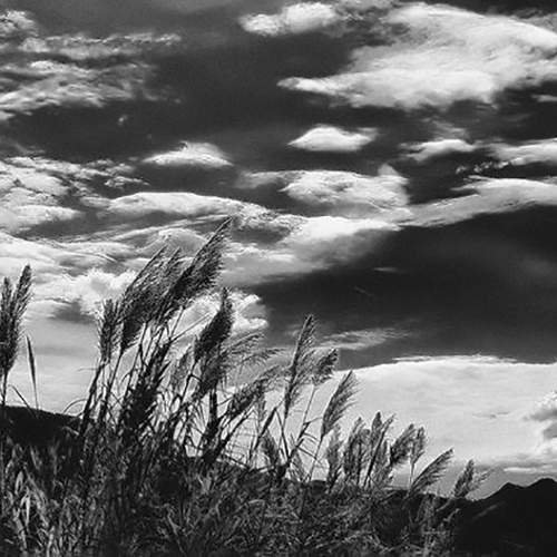 Photo #13754555