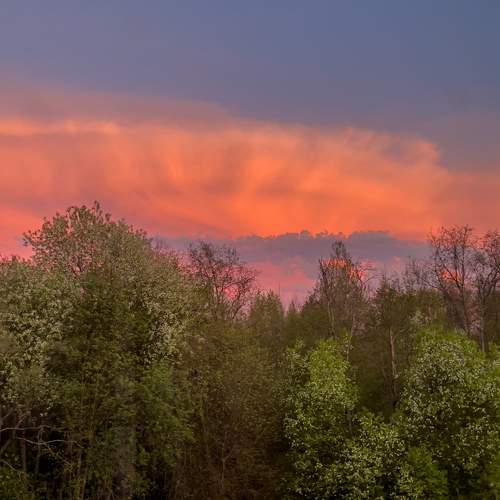 Photo #13754558