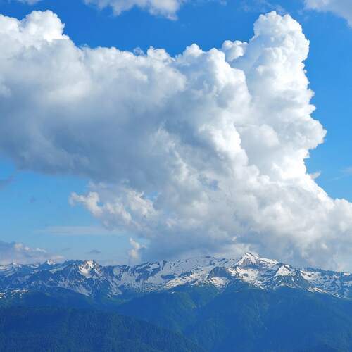 Photo #13754605