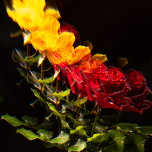 Photo #13754621