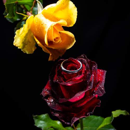 Photo #13754622