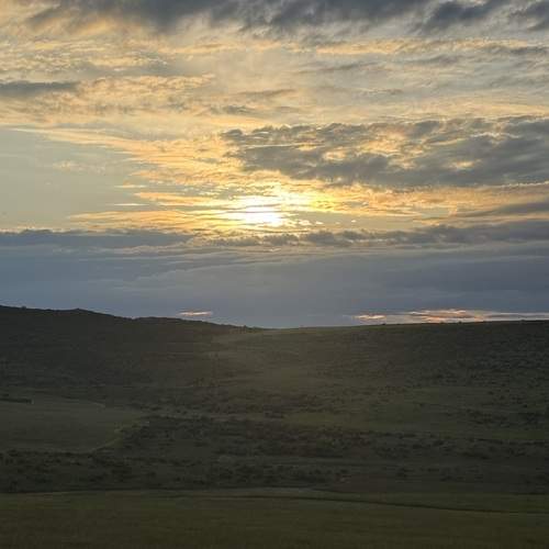 Photo #13754631
