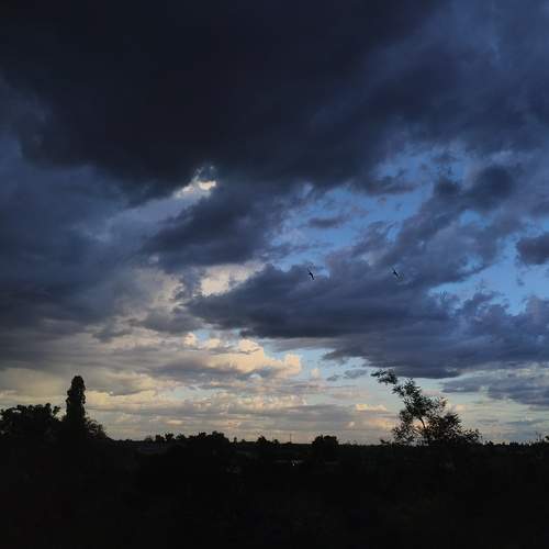 Photo #13754637