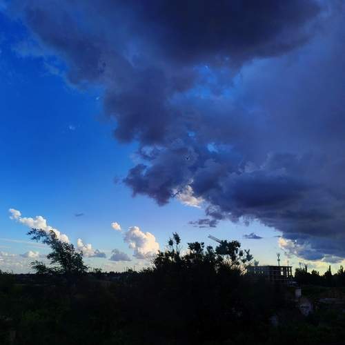 Photo #13754642
