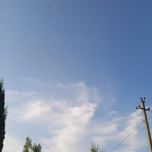 Photo #13754661