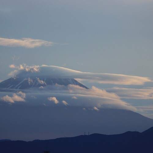 Photo #13754671