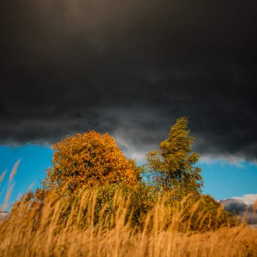 Photo #13754688