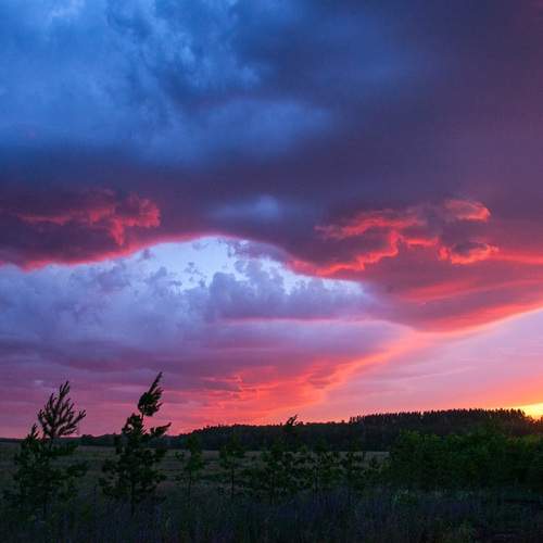 Photo #13754694