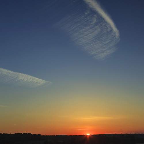 Photo #13754695