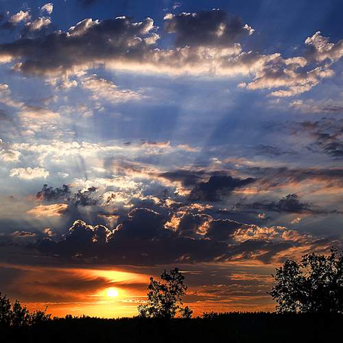Photo #13754698