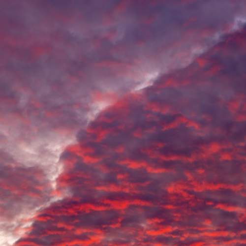 Photo #13754702