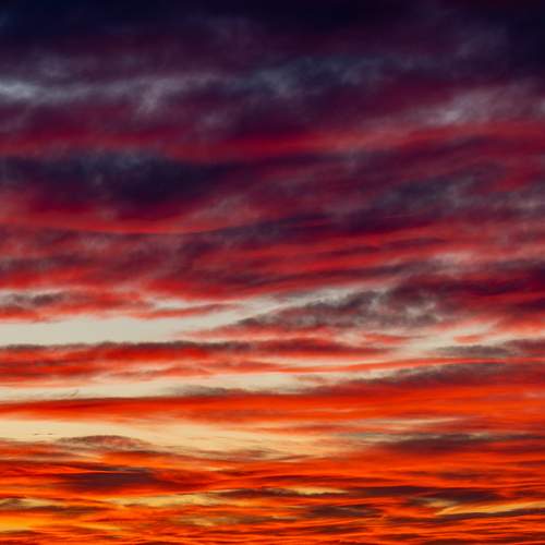 Photo #13754704