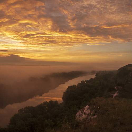 Photo #13754726
