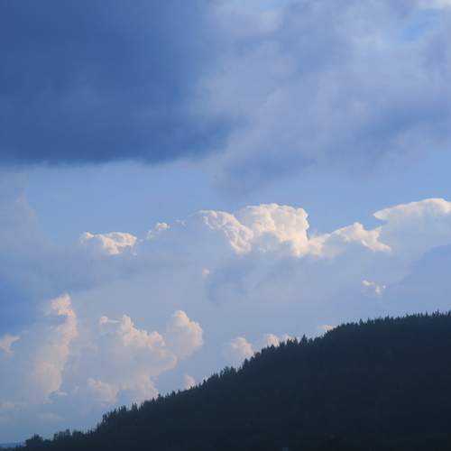 Photo #13754768