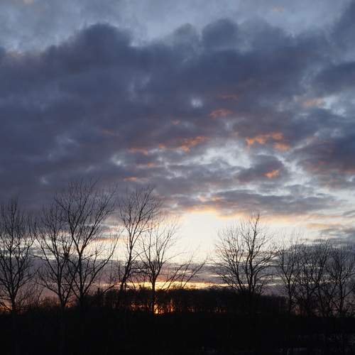 Photo #13754776