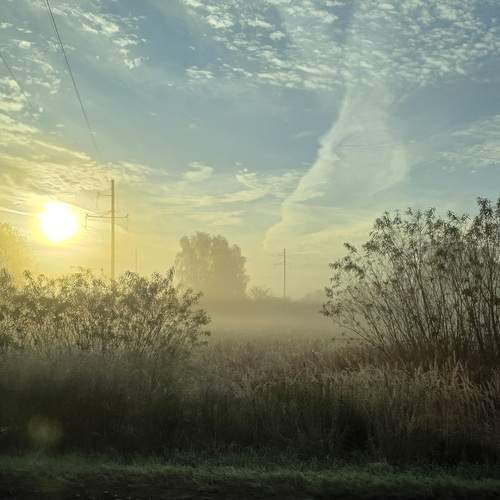 Photo #13754780