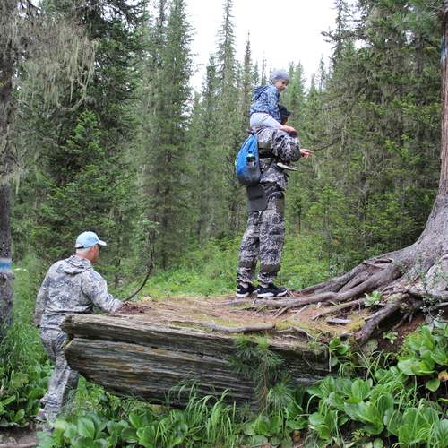 Photo #13754784