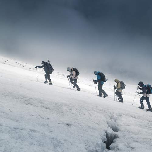 Photo #13754795
