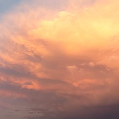 Photo #13754855
