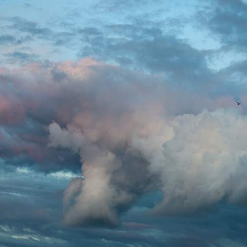 Photo #13754869