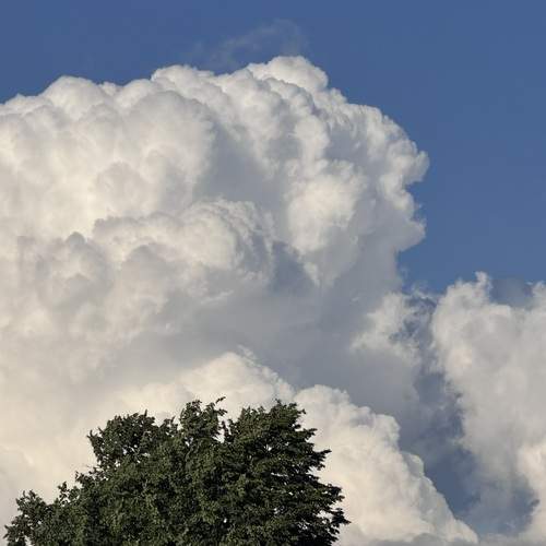Photo #13754878