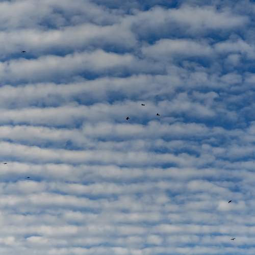 Photo #13754884