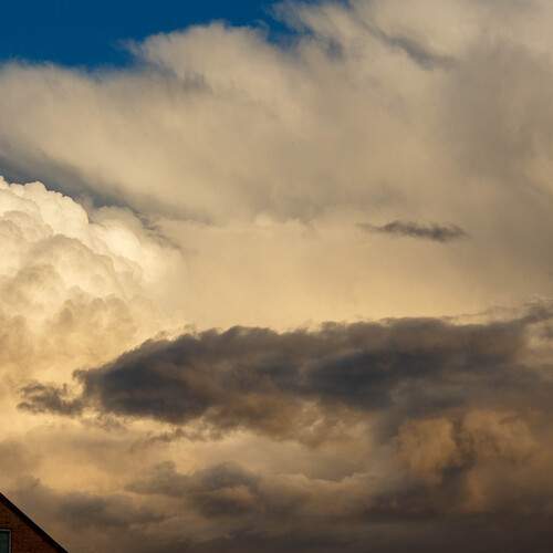 Photo #13754892