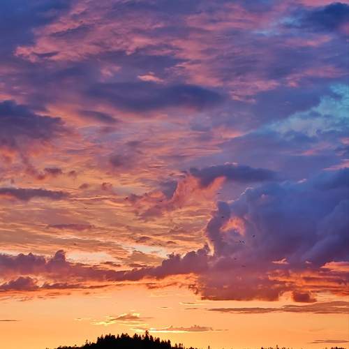 Photo #13754902