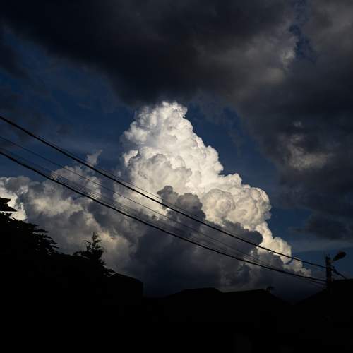 Photo #13754904