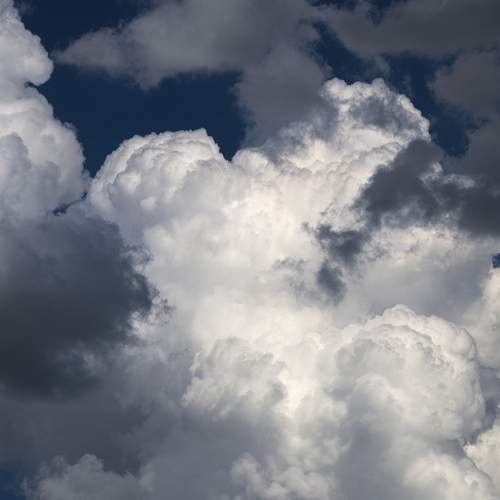 Photo #13754905