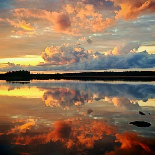 Photo #13754909