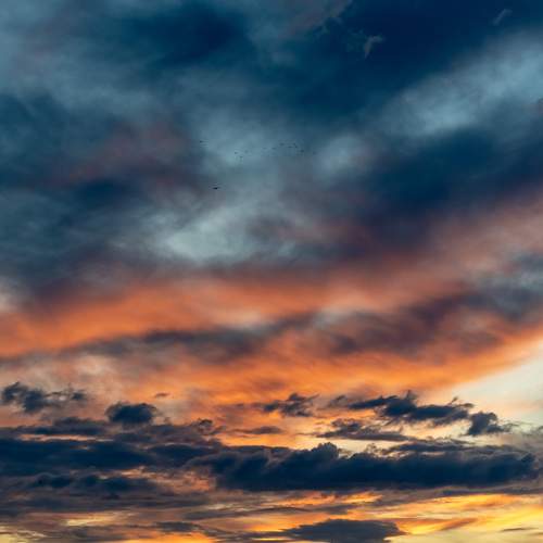 Photo #13754925