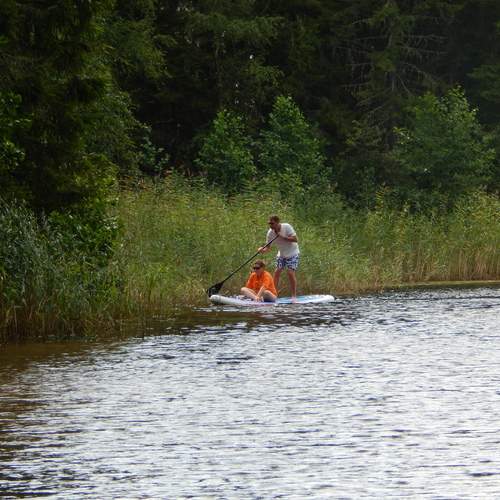 Photo #13754942
