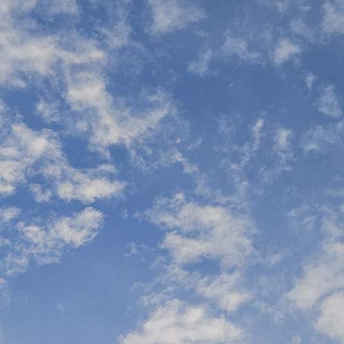 Photo #13754945