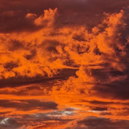 Photo #13754955