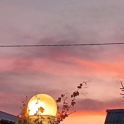 Photo #13754976