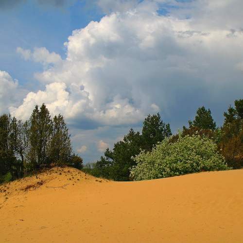 Photo #13754981