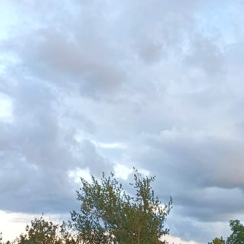 Photo #13754988