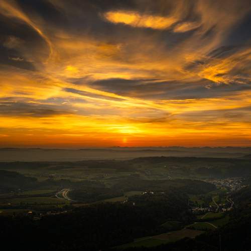 Photo #13754996