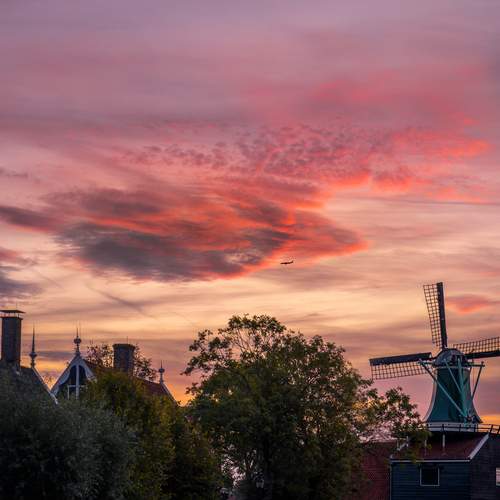 Photo #13754997