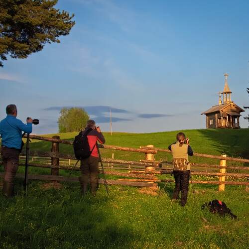 Photo #13755002