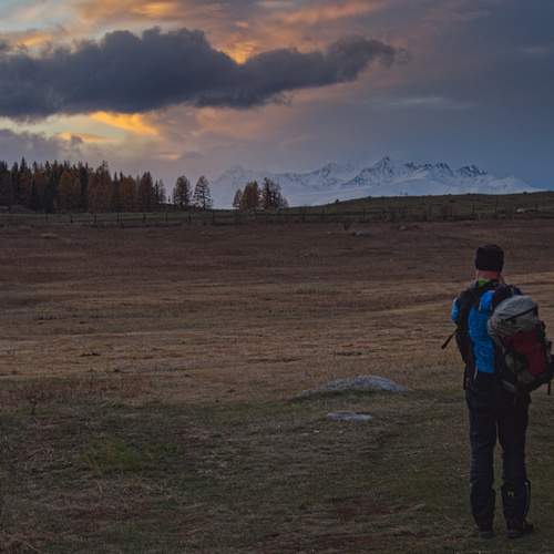 Photo #13755003