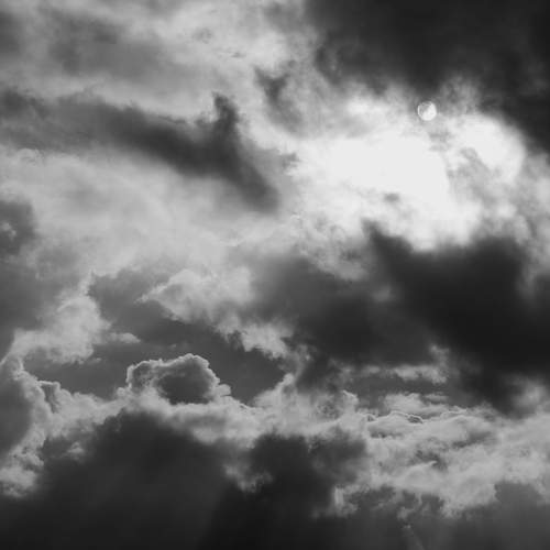 Photo #13755006
